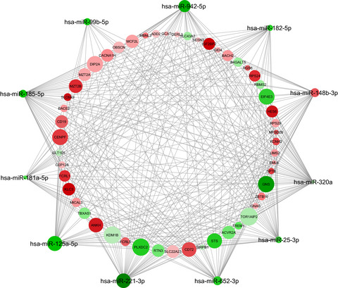 Association between miRNAs expression and cognitive performances of Pediatric Multiple Sclerosis patients: A pilot study