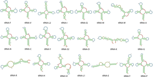 Details are in the caption following the image Details are in the caption following the image