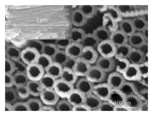 Details are in the caption following the image
