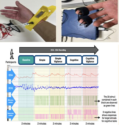 Evaluating the Effects of Different Cognitive Tasks on Autonomic Nervous System Responses: Implementation of a High-Precision, Low-Cost Complementary Method