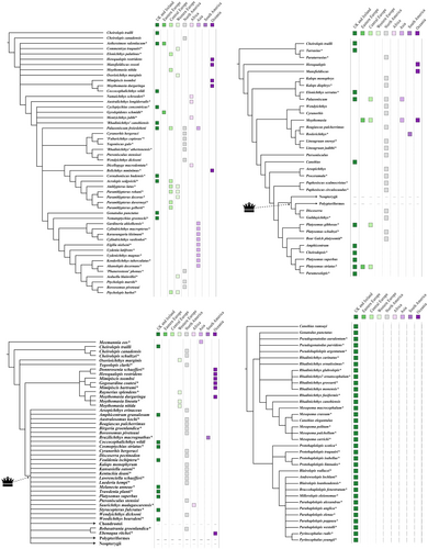 Details are in the caption following the image Details are in the caption following the image