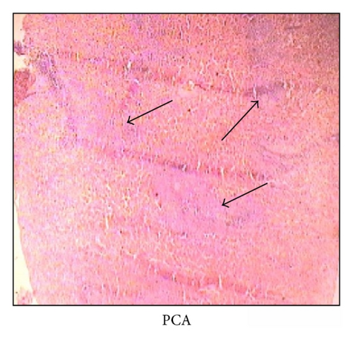 Details are in the caption following the image
