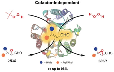 Enantiocomplementary Epoxidation Reactions Catalyzed by an Engineered Cofactor-Independent Non-natural Peroxygenase