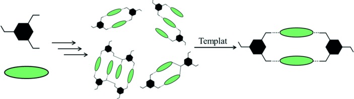 Combinatorial Crystal Synthesis: Structural Landscape of Phloroglucinol:1,2-bis(4-pyridyl)ethylene and Phloroglucinol:Phenazine