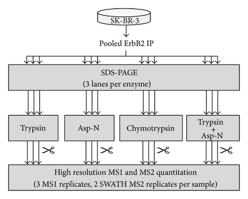 Details are in the caption following the image