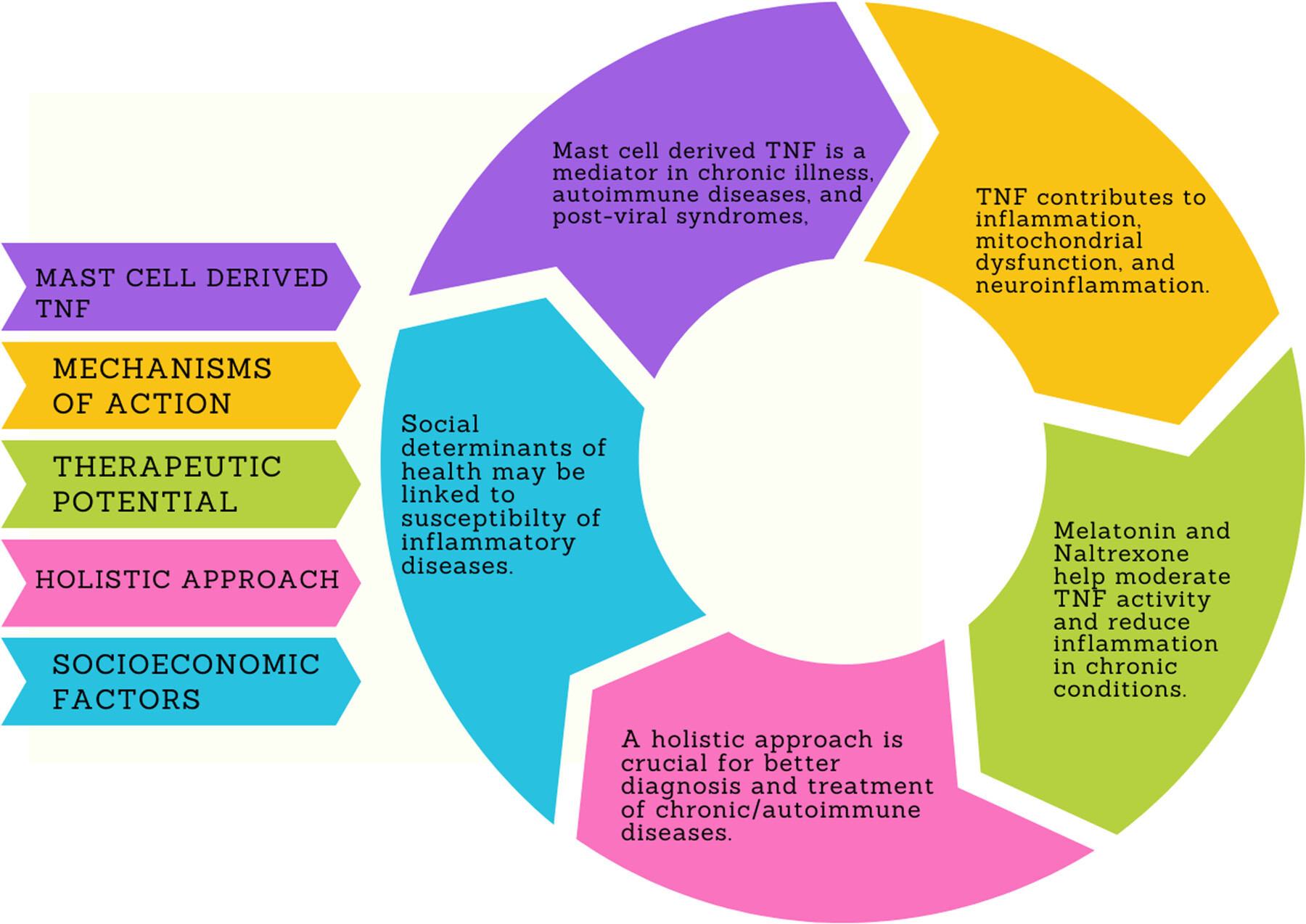 Expanding the scope of mast cell disease: Does mast cell-derived TNF play a role in immune-mediated chronic illness and autoimmunity?