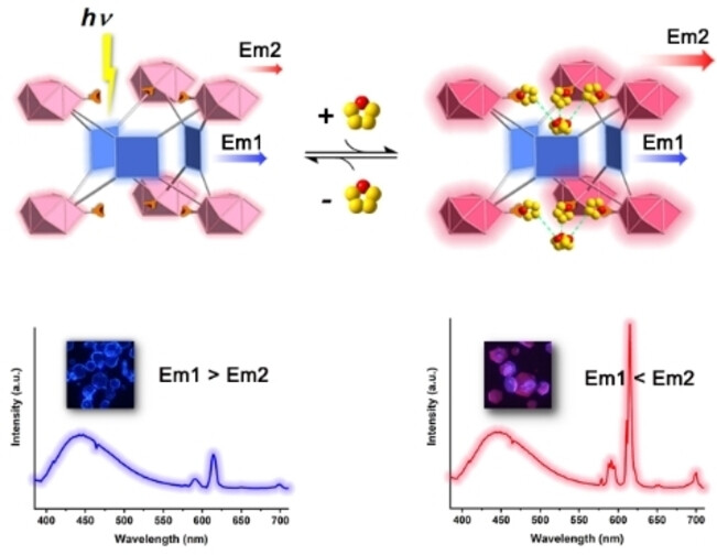 Real-Time In Situ Volatile Organic Compound Sensing by a Dual-Emissive Polynuclear Ln-MOF with Pronounced LnIII Luminescence Response