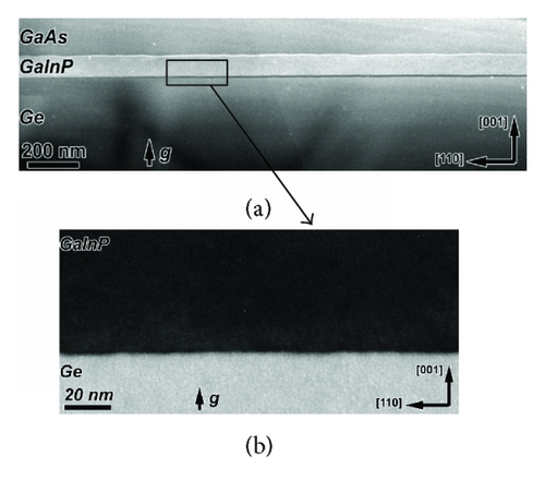 Details are in the caption following the image Details are in the caption following the image