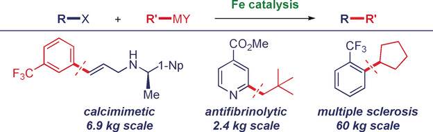 Iron-Catalyzed Cross-Couplings in the Synthesis of Pharmaceuticals: In Pursuit of Sustainability