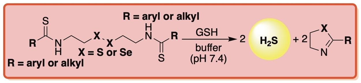 Intramolecular Thiol- and Selenol-Assisted Delivery of Hydrogen Sulfide