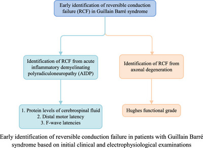 The Initial Clinical and Electrophysiological Characteristics of Different Subtypes of Guillain–Barré Syndrome Diagnosed Based on Serial Electrophysiological Examinations