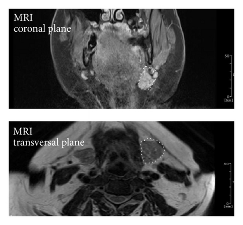 Details are in the caption following the image Details are in the caption following the image
