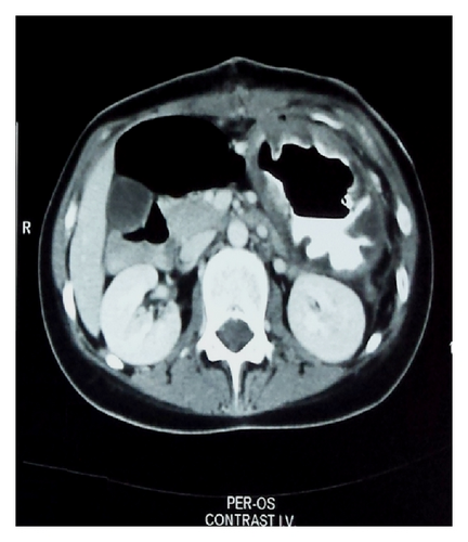 Details are in the caption following the image Details are in the caption following the image