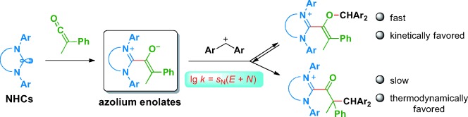 Structures and Ambident Reactivities of Azolium Enolates