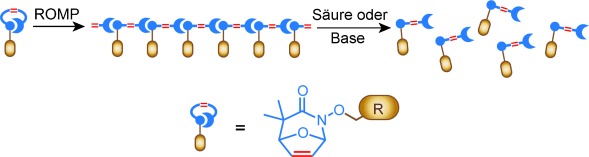 Synthesis of Functionalizable and Degradable Polymers by Ring-Opening Metathesis Polymerization