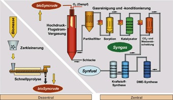 Synthetische Chemieprodukte und Kraftstoffe aus Biomasse