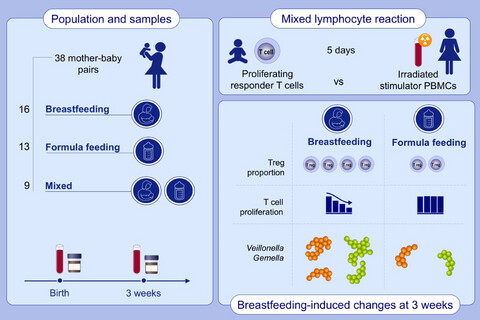 Breastfeeding promotes early neonatal regulatory T-cell expansion and immune tolerance of non-inherited maternal antigens