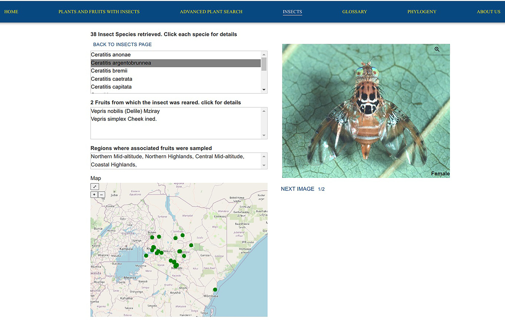 WiPFIM: A digital platform for interlinking biocollections of wild plants, fruits, associated insects, and their molecular barcodes