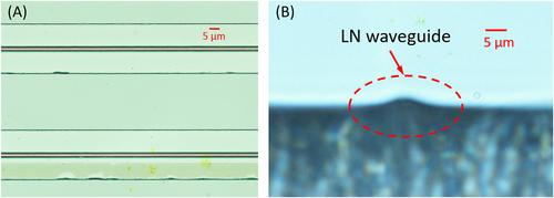 Details are in the caption following the image