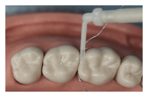 Details are in the caption following the image Details are in the caption following the image