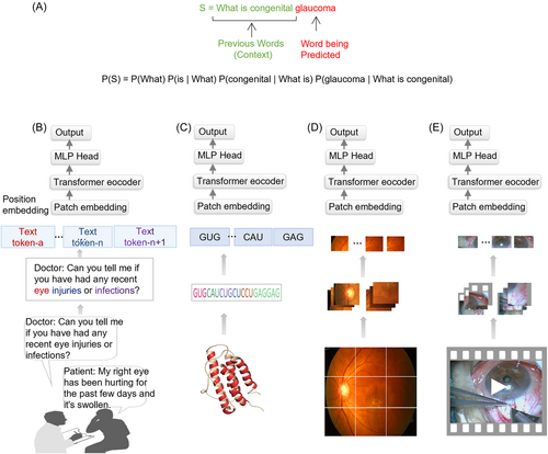 Details are in the caption following the image Details are in the caption following the image