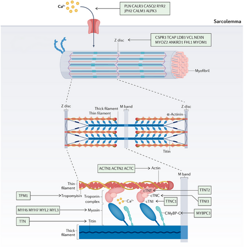 Details are in the caption following the image Details are in the caption following the image