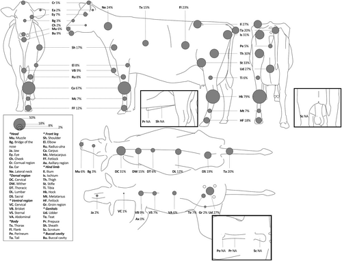 Details are in the caption following the image Details are in the caption following the image