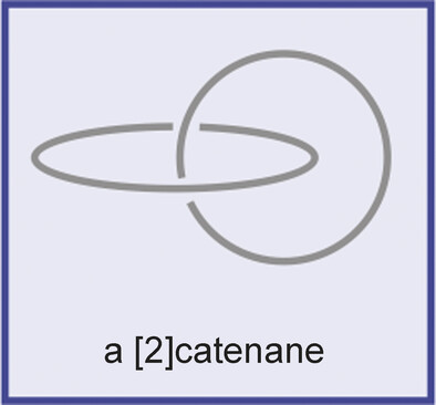 From Chemical Topology to Molecular Machines (Nobel Lecture)