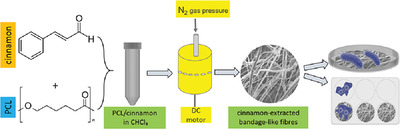Alleviating the toxicity concerns of antibacterial cinnamon-polycaprolactone biomaterials for healthcare-related biomedical applications