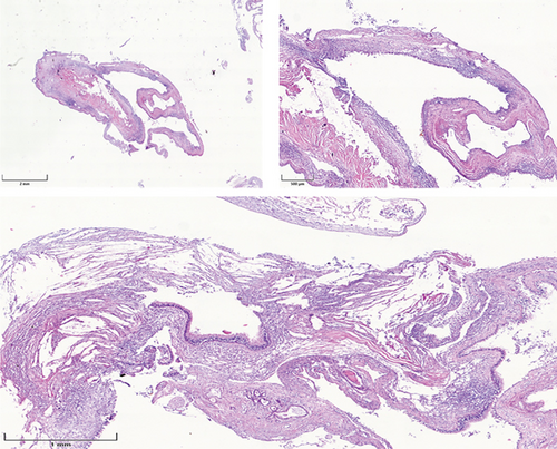 Details are in the caption following the image Details are in the caption following the image