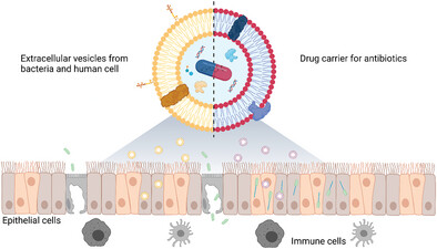 Cell-Derived Vesicles for Antibiotic Delivery—Understanding the Challenges of a Biogenic Carrier System