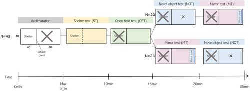 Details are in the caption following the image Details are in the caption following the image