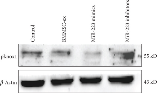 Details are in the caption following the image