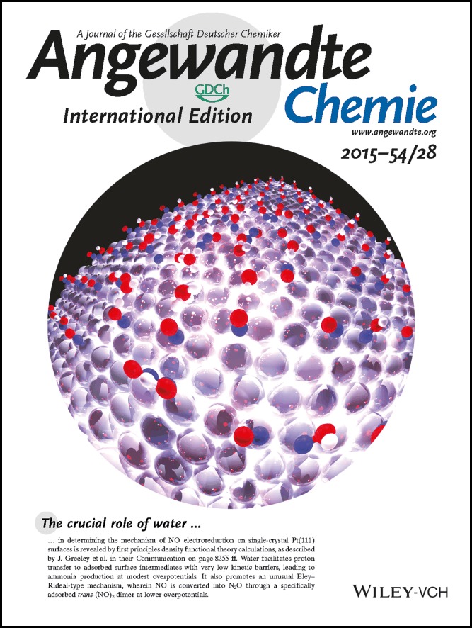 Inside Back Cover: Elucidation of Pathways for NO Electroreduction on Pt(111) from First Principles (Angew. Chem. Int. Ed. 28/2015)