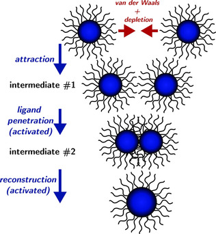 Growth of Colloidal Nanocrystals by Liquid-Like Coalescence**