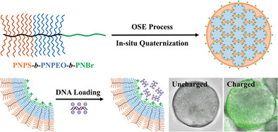 Self-Assembly and In Situ Quaternization of Triblock Bottlebrush Block Copolymers via Organized Spontaneous Emulsification for Effective Loading of DNA