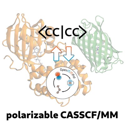A Polarizable CASSCF/MM Approach Using the Interface Between OpenMMPol Library and Cfour