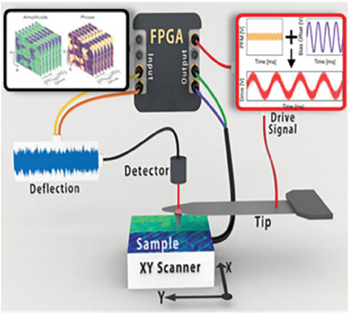 Imaging Bias-Driven Domain Wall Motion With Scanning Oscillator Piezoresponse Force Microscopy
