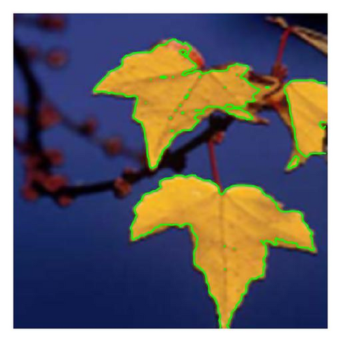 Details are in the caption following the image