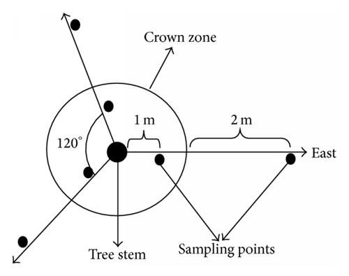 Details are in the caption following the image Details are in the caption following the image