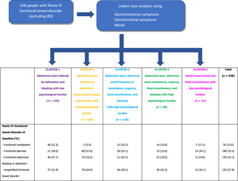 Latent class analysis does not support the existence of Rome IV functional bowel disorders as discrete entities