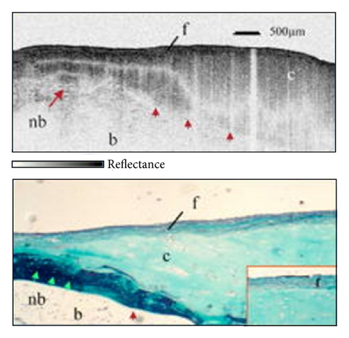 Details are in the caption following the image Details are in the caption following the image
