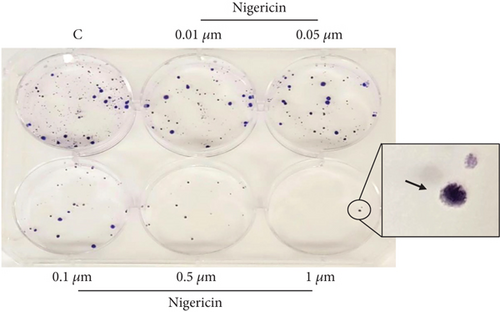 Details are in the caption following the image Details are in the caption following the image