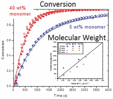 Modeling the Radical Batch Homopolymerization of Acrylamide in Aqueous Solution