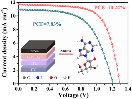 Efficient and Stable Carbon-Based All-Inorganic CsPbIBr2 Perovskite Solar Cells Obtained via Treatment by Biological Active Substance Additive