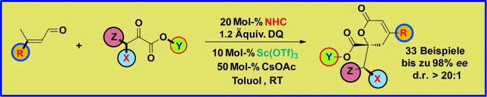 Intermolecular Dynamic Kinetic Resolution Cooperatively Catalyzed by an N-Heterocyclic Carbene and a Lewis Acid