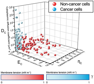 AFM-Based Poroelastic@Membrane Analysis of Cells and its Opportunities for Translational Medicine