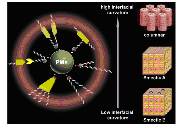 Hybrid Liquid Crystals from the Self-Assembly of Surfactant-Encapsulated Polyoxometalate Complexes