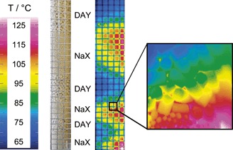 Dielektrische Erwärmung von Zeolithen mittels Radiowellen – Selektivität, thermo-chromatographischer Puls und Trocknen mit Wasser Dielectric Radio-Frequency Heating of Zeolites – Selectivity, Thermo-Chromatographic Pulse and Drying by Water
