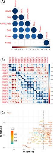 Details are in the caption following the image Details are in the caption following the image